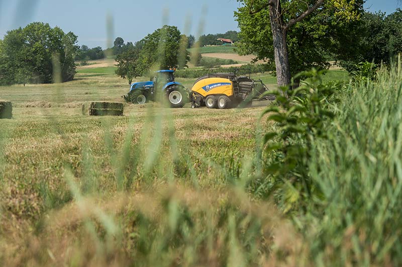 I campi di Cascina Giachino